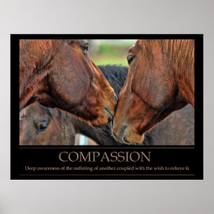 Compassie Poster