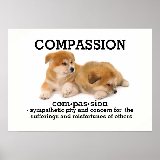 COMPASSION - Affiche de vocabulaire (Devant)