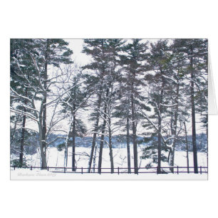 Compensatie bij elke teleurstelling