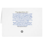 * Compensatie bij elke teleurstelling: Walden Pond (Achterkant Horizontaal)