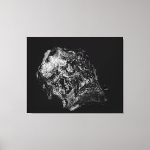 Complexiteit / Surreal Skull Canvas Afdruk