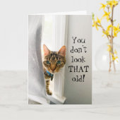 Compliment d'anniversaire amusant Carte de chat (Fleur jaune)