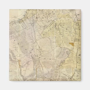 Composiet Staten Island Magneet