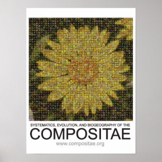 Compositae poster