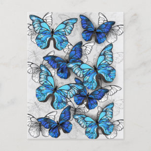 Compositie van witte en blauwe vlinders aankondigingskaart