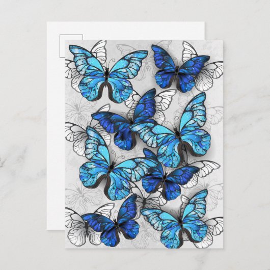 Compositie van witte en blauwe vlinders aankondigingskaart (Voorkant / Achterkant)