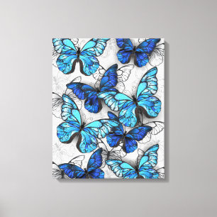 Compositie van witte en blauwe vlinders canvas afdruk
