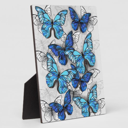 Compositie van witte en blauwe vlinders fotoplaat (Zijkant)