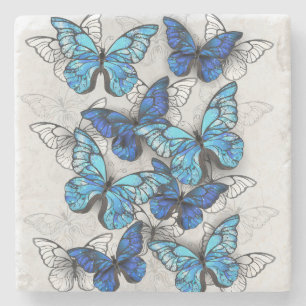 Compositie van witte en blauwe vlinders stenen onderzetter