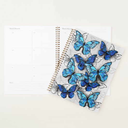 Composition des papillons blancs et bleus (Devant avec enveloppe)