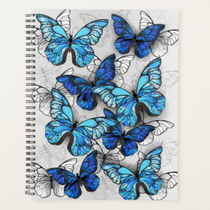 Composition des White and Blue Butterflies