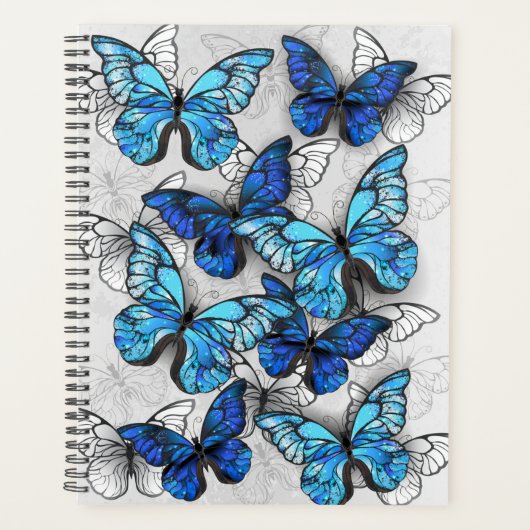 Composition des White and Blue Butterflies (Devant)