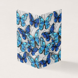 Composition des White and Blue Butterflies