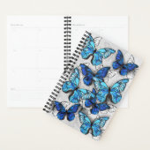 Composition des White and Blue Butterflies (Devant avec enveloppe)