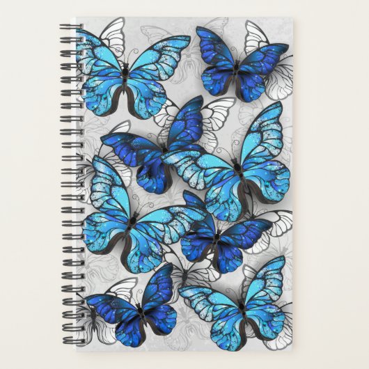 Composition des White and Blue Butterflies (Devant)