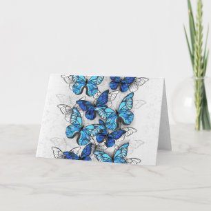Composition des White and Blue Butterflies