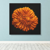 Composition Lichen - Impression d'art en toile (Insitu (Plancher de Bois))