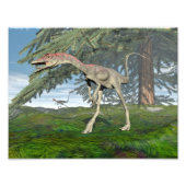 Compsognathus dinosaurussen - 3D rendering Foto Afdruk (Voorkant)