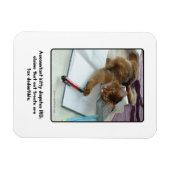 Comptable Kitty Magnet (Horizontal)
