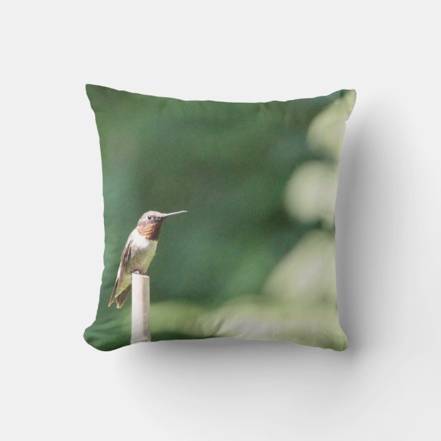 Comptez vos bénédictions coussin (Recto)