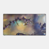 Comptoir personnalisé, (Recto)