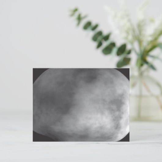 Computer Model van de Asteroïde Vesta Briefkaart (Staand voorkant)