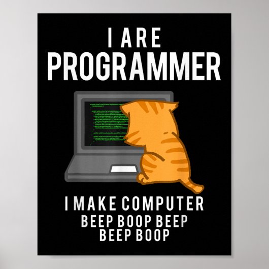 Computerkat programmeur Funny Coder Meme Poster (Voorkant)