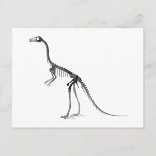 Comsognathus skelet briefkaart