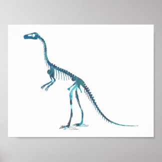 Comsognathus skelet poster