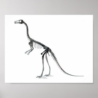 Comsognathus skelet poster