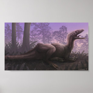 Concavenatorafdrukken Poster