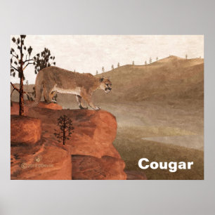Concentratie - Cougar Poster