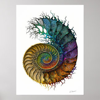 Concept Ammonietfossil in levendige inktkleuren Poster