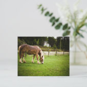 Concept grazen na afslag briefkaart (Staand voorkant)