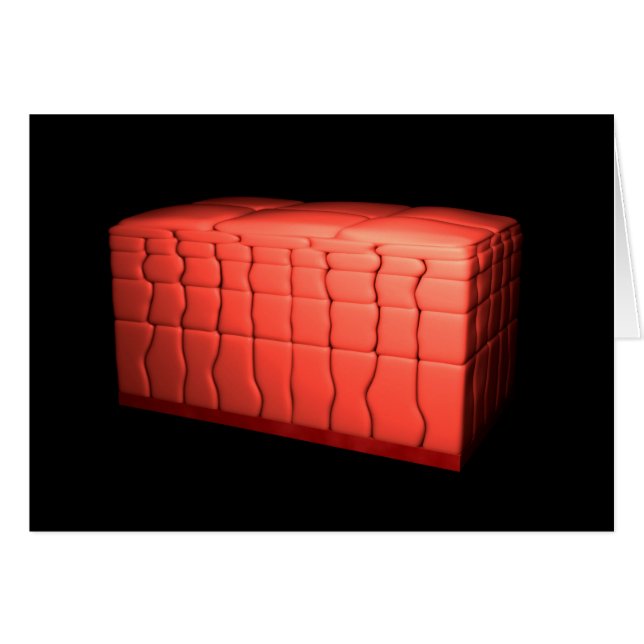 Concept van gestratificeerd vierkant epithelium 1 (Voorkant Horizontaal)