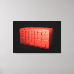 Concept van gestratificeerd vierkant epithelium 1 canvas afdruk