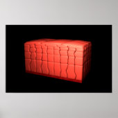 Concept van gestratificeerd vierkant epithelium 1 poster (Voorkant)