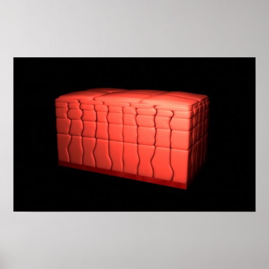 Concept van gestratificeerd vierkant epithelium 1 poster (Voorkant)