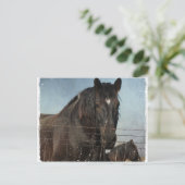 Concepten in weide briefkaart (Staand voorkant)