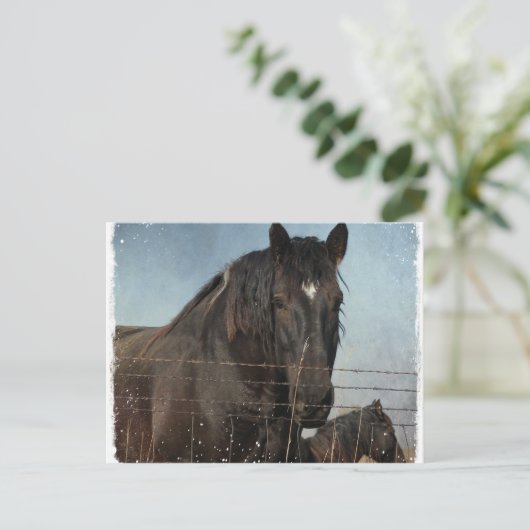 Concepten in weide briefkaart (Staand voorkant)