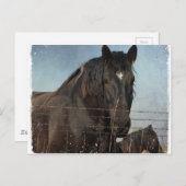 Concepten in weide briefkaart (Voorkant / Achterkant)