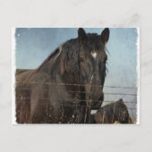 Concepten in weide briefkaart (Voorkant)