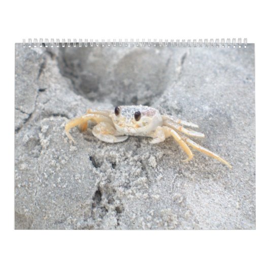 Conception 2 de calendrier mural d'île de Pawleys (Protection)