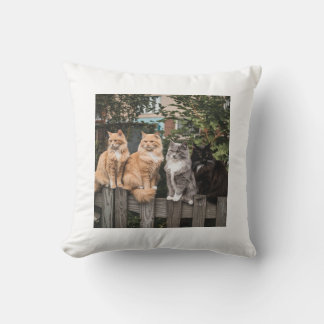 Conception coussin