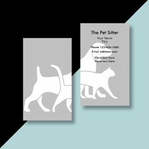 Conception de carte de visite double face pour gar