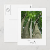 Conception de carte postale Arbres (Devant / Derrière)