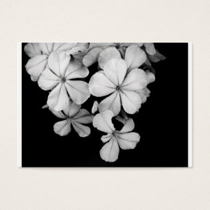 Conception de carte postale noir et blanc
