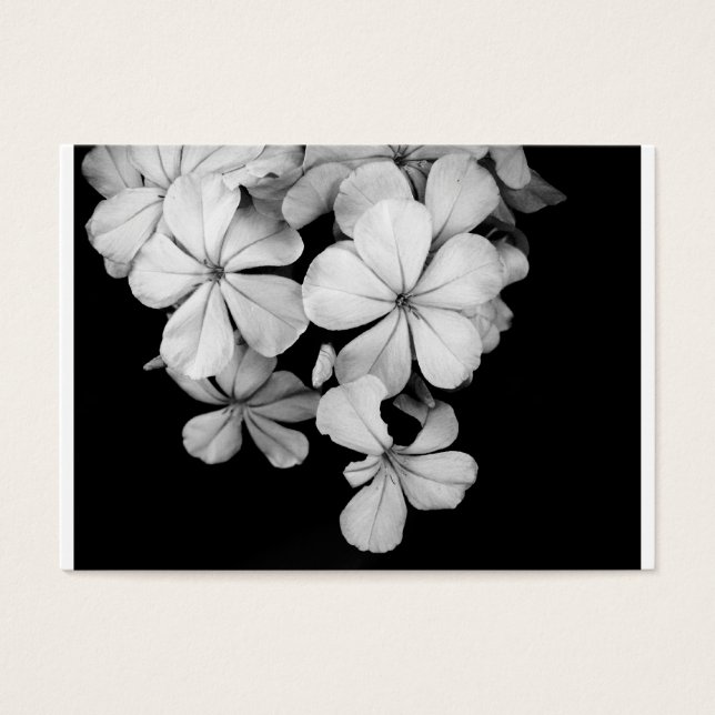 Conception de carte postale noir et blanc (Devant)