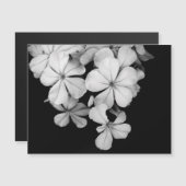 Conception de carte postale noir et blanc (Devant / Derrière)