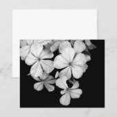 Conception de carte postale noir et blanc (Devant / Derrière)